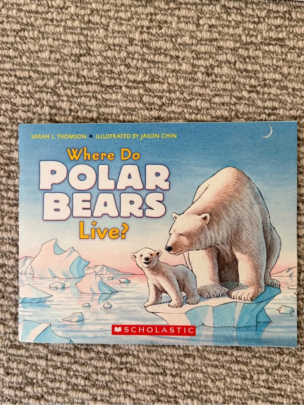 Large Lot Polar Bear Children’s Book Lot – 33 Books – Classroom / Homeschool